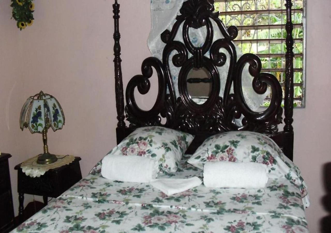Kingston Airport Bed And Breakfast Extérieur photo